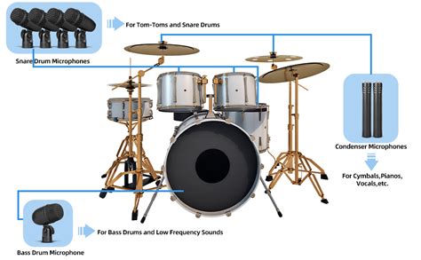 Dynamic Percussion Drum Set Review