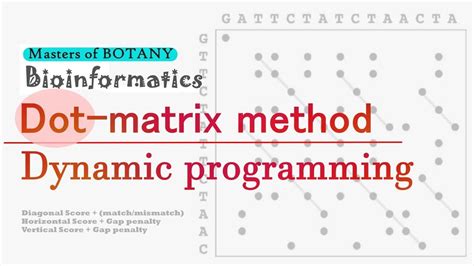 dynamic programming method in bioinformatics