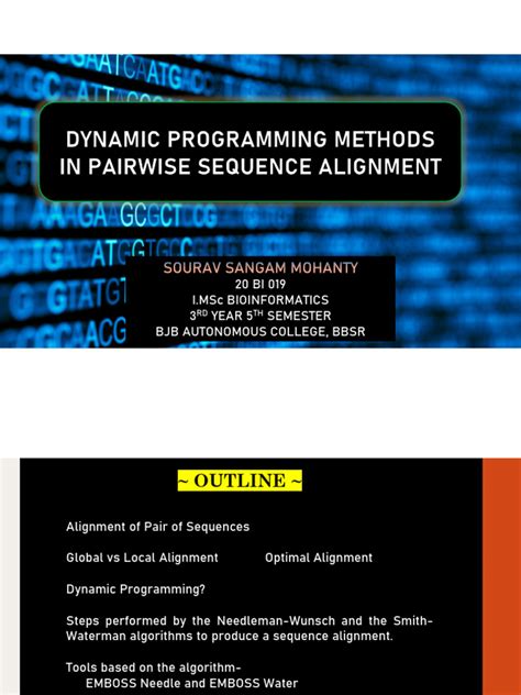 dynamic programming methods