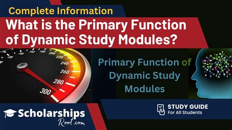 dynamic study modules