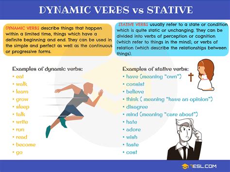 dynamic verb meaning and examples