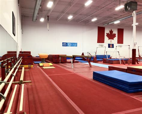 Home Dynamo Gymnastics