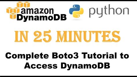 dynamodb insert example
