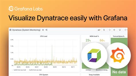 Dynatrace Micrometer Example