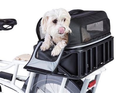 e bike with dog carrier