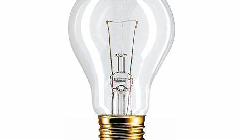 E27 Max 60w Bulb NLCL Eli Wall Lamp, 1 X ( 60W), Black/Clear