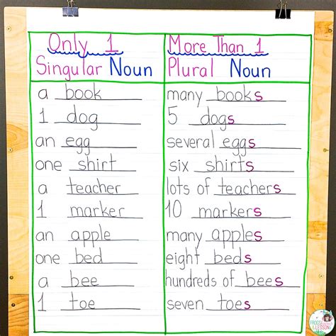 each noun plural or singular
