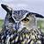 eagle owl wallpaper