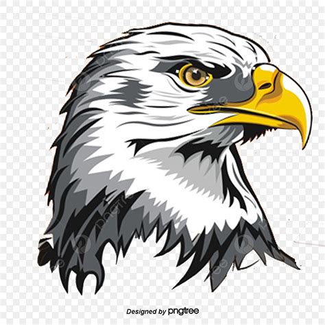 eagle head vector free