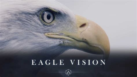 eagle one vision eagle
