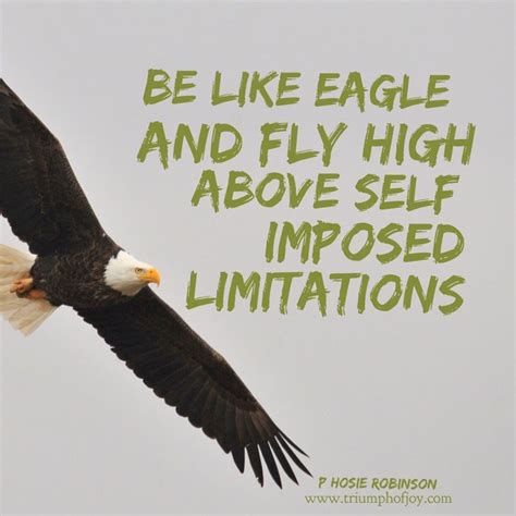 eagles soar high quotes