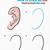 ear drawing easy step by step