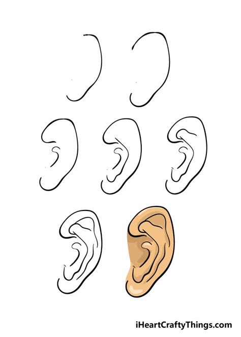 How to Draw an Ear Step by Step Easy Drawing Guides