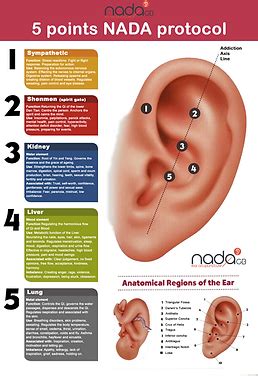 Ear Acupuncture Points Nada