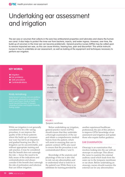 Ear Assessment Charting