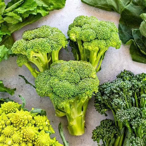 Early Broccoli Varieties