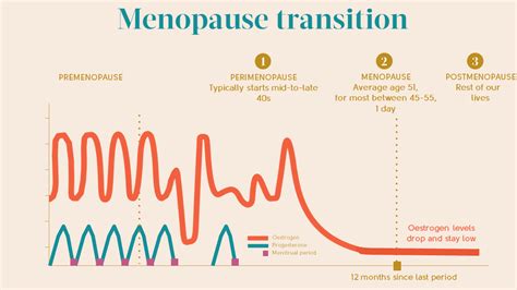 Early Menopause Transition