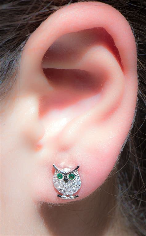 Earrings Studs Owl