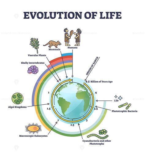 Earth And Life Science Process Of Evolution