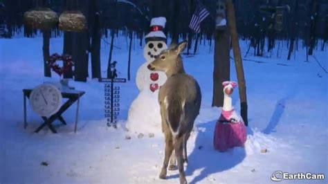 earthcam snowman cam weather