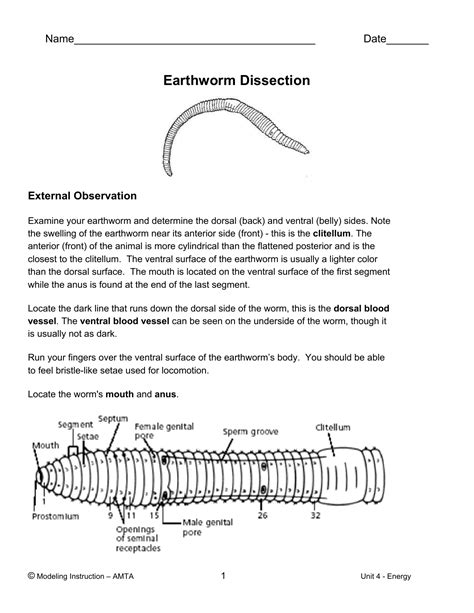earthworm dissection post lab discussion