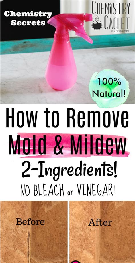 The easy way to remove mold from walls in 2021 Mold remover, Cleaning hacks, Cleaning household
