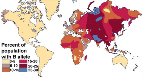 east asian blood type