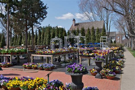 east hampton nurseries