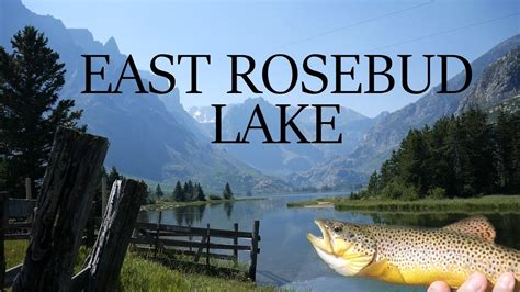 east rosebud fishing