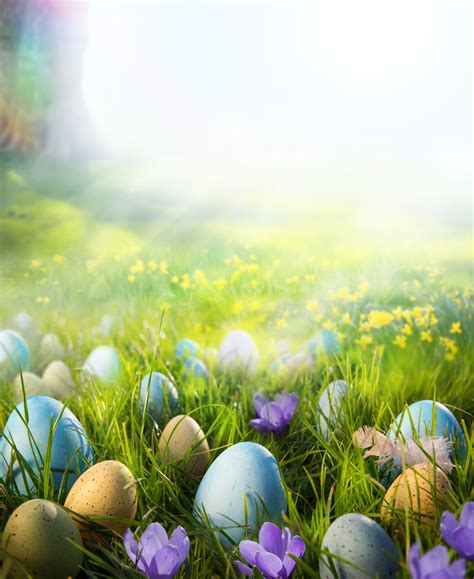 easter backgrounds for photography