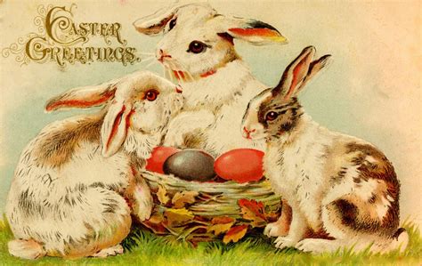 Easter Bunny And Eggs Origin