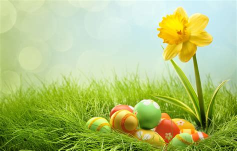 easter flower background images