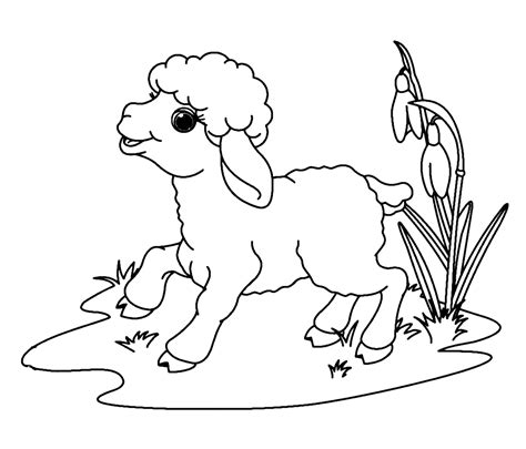 Easter Lamb Coloring Page