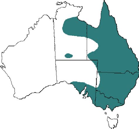 Eastern Brown Distribution