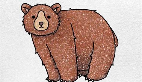 How To Draw A Bear - Draw Central