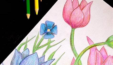 Easy Pencil Colour Drawing For Kids Pin On Prismacolor