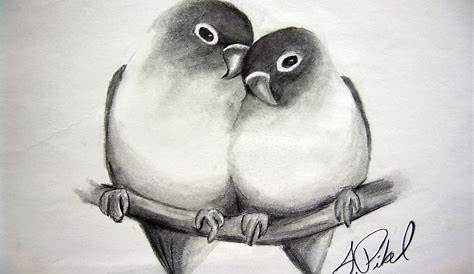 Easy Pencil Drawings Of Love Birds Drawing Images Rectangle Circle