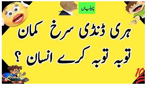 Easy Riddles In Urdu With Answers /pahelyan Me/