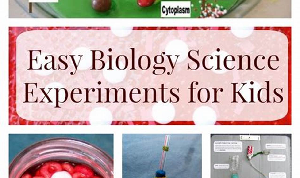 easy science experiments for high school biology