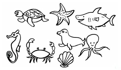 How to Draw Sea Creatures | Sea creatures drawing, Animal drawings