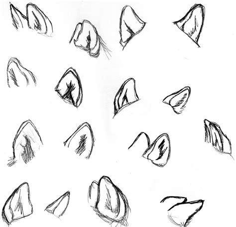 Wolf Ear Tutorial by on DeviantArt Wolf ears