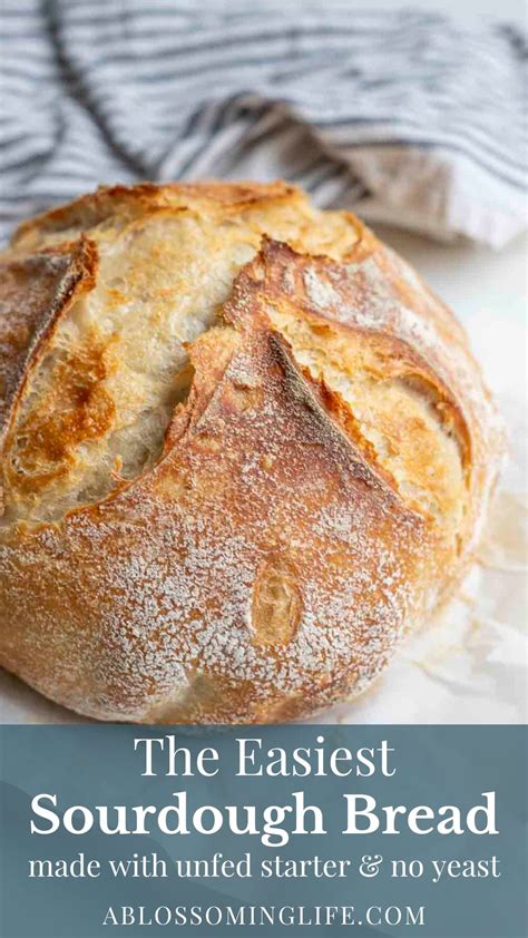 Basic sourdough made easy Recipe Sourdough bread, Bread, Sourdough recipes