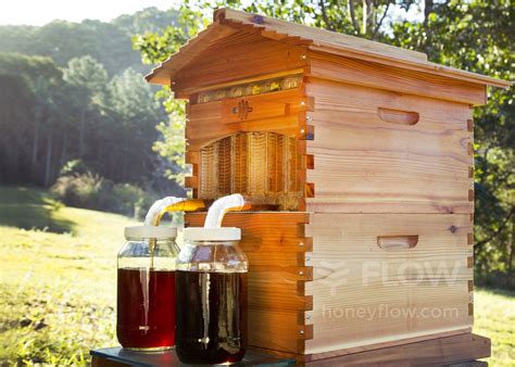 easy bee hive