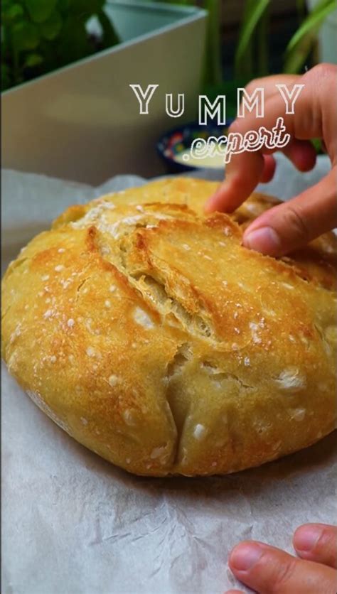 World's Easiest Yeast Bread recipe Artisan, NO KNEAD crusty bread Recipe Artisan bread