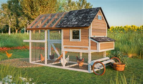 Easy Chicken Coops Beginners