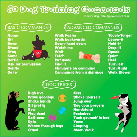 Easy Commands To Teach Your Dog