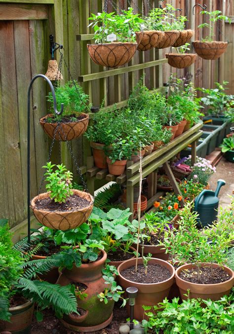 Easy Container Garden Ideas
