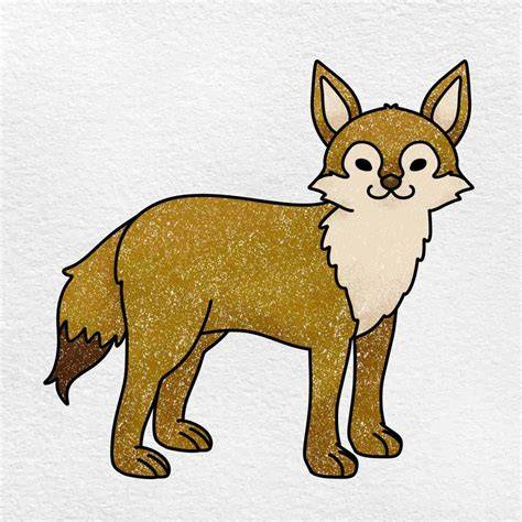 How to Draw a Coyote in 2020