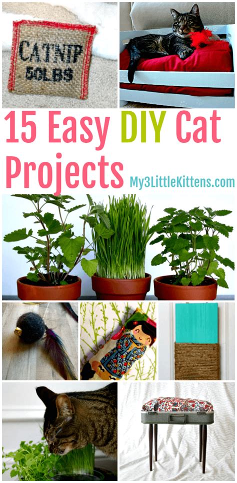 Easy Diy Cat Projects