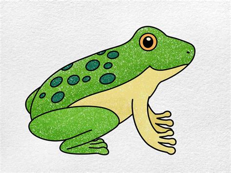 easy drawing of frog